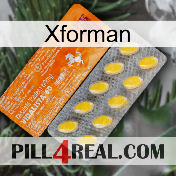 Xforman new05.jpg